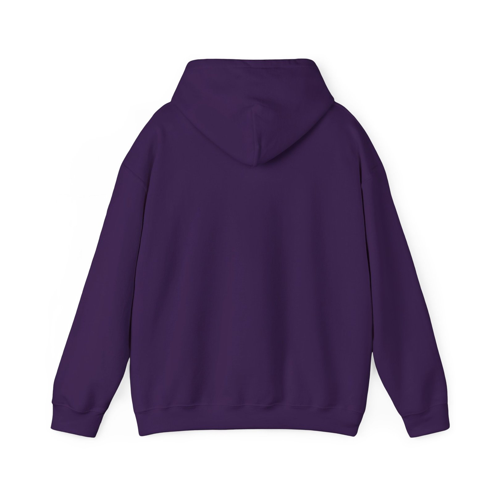 Hoodie — Prism City Skyline "Planet Action Never" Graphic Pullover - Image 2